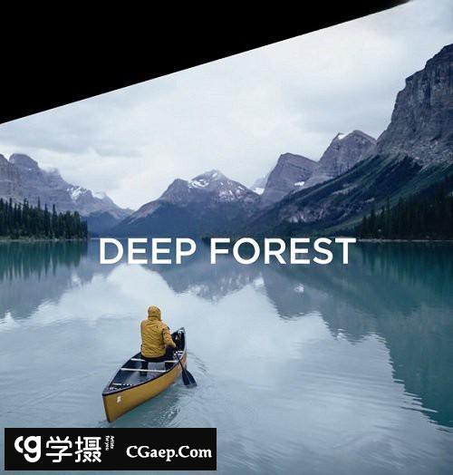 飞思Capture One样式 旅行森系冷色调Capture One预设 Deep Forest插图