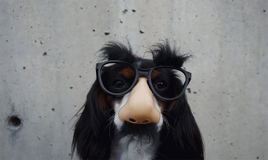 dde0dc1c00eb0d9944b667a7a92d4414