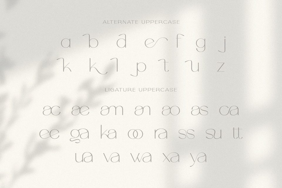 debc217d7caaf734d0707f7c1039c673