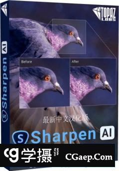 Topaz Sharpen AI V4.1.0汉化版|AI人工智能聚焦防抖清晰锐化PS插件WIN中文版