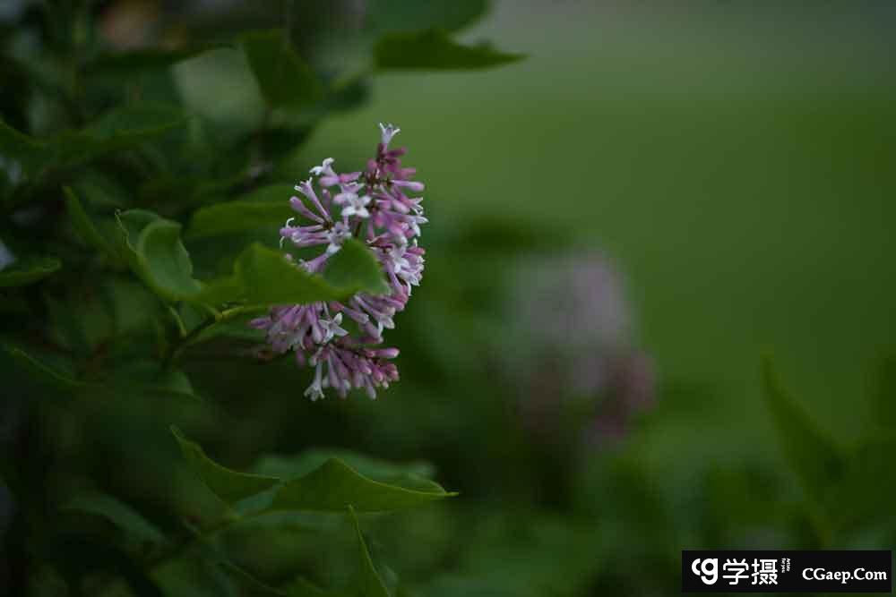 e0a37a1f84d1cff9c83196546beec3ec