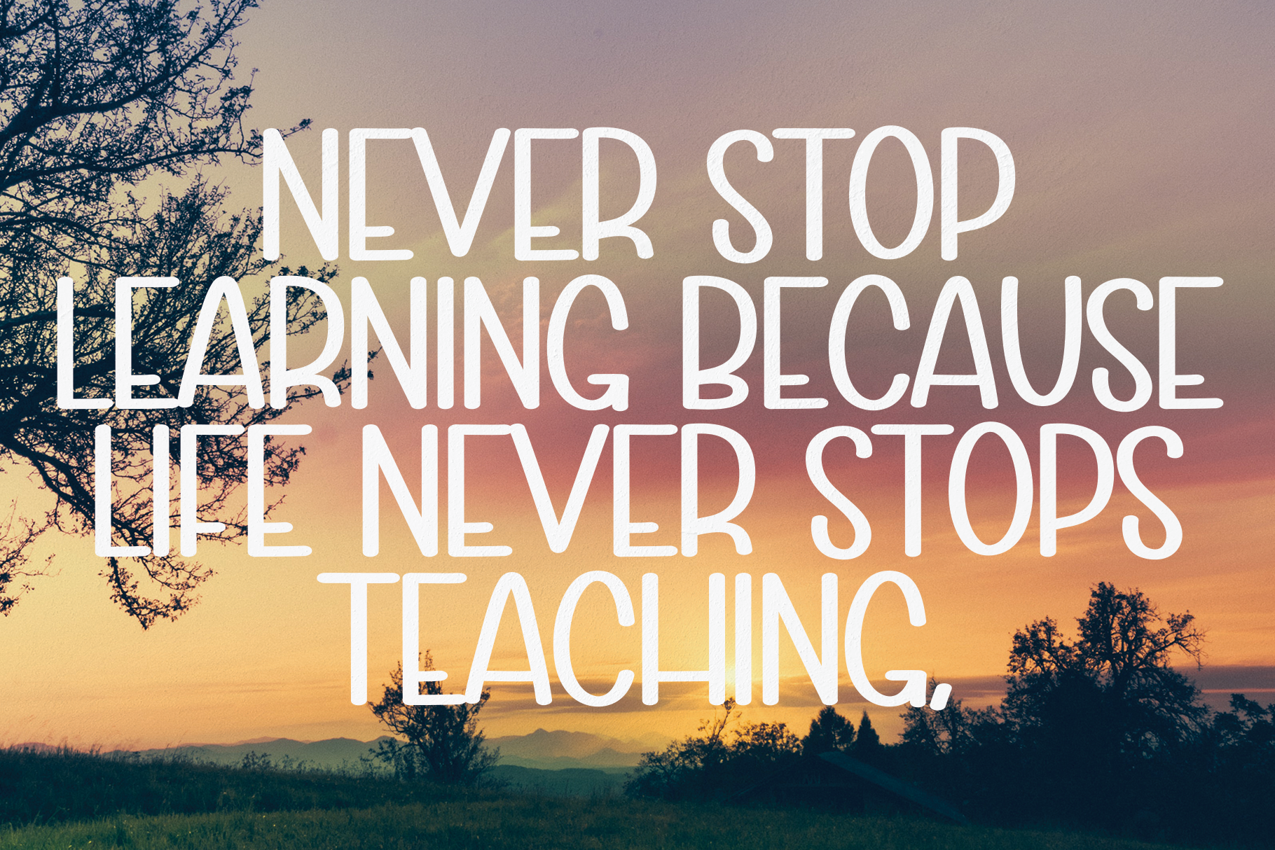 e3fdd331ac455c2c66d611fdafb11183