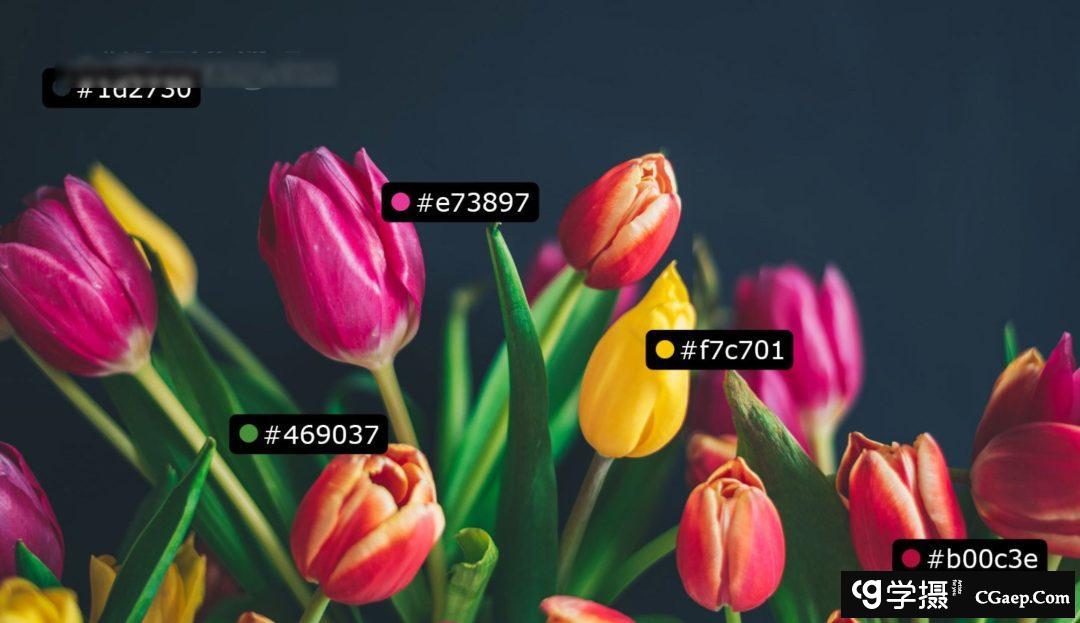 e63014e83e67b8b5dae8276d2404ba9e