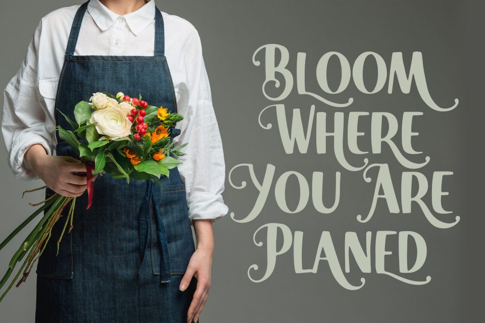 e67ce394777a82bf3d7ef9e0100c7eb6