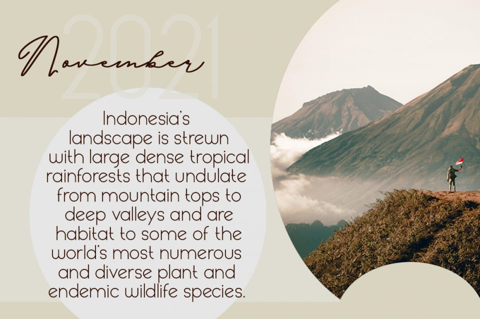 e67e042bed0a28f8c540afc678521209