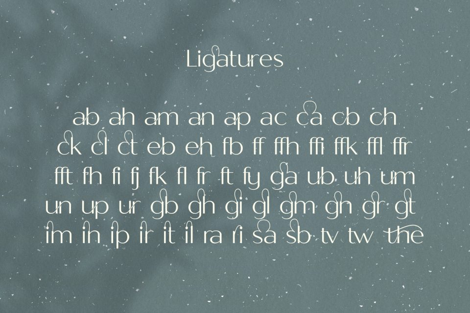 e6fbc19e428d43170d7bdc161678e111