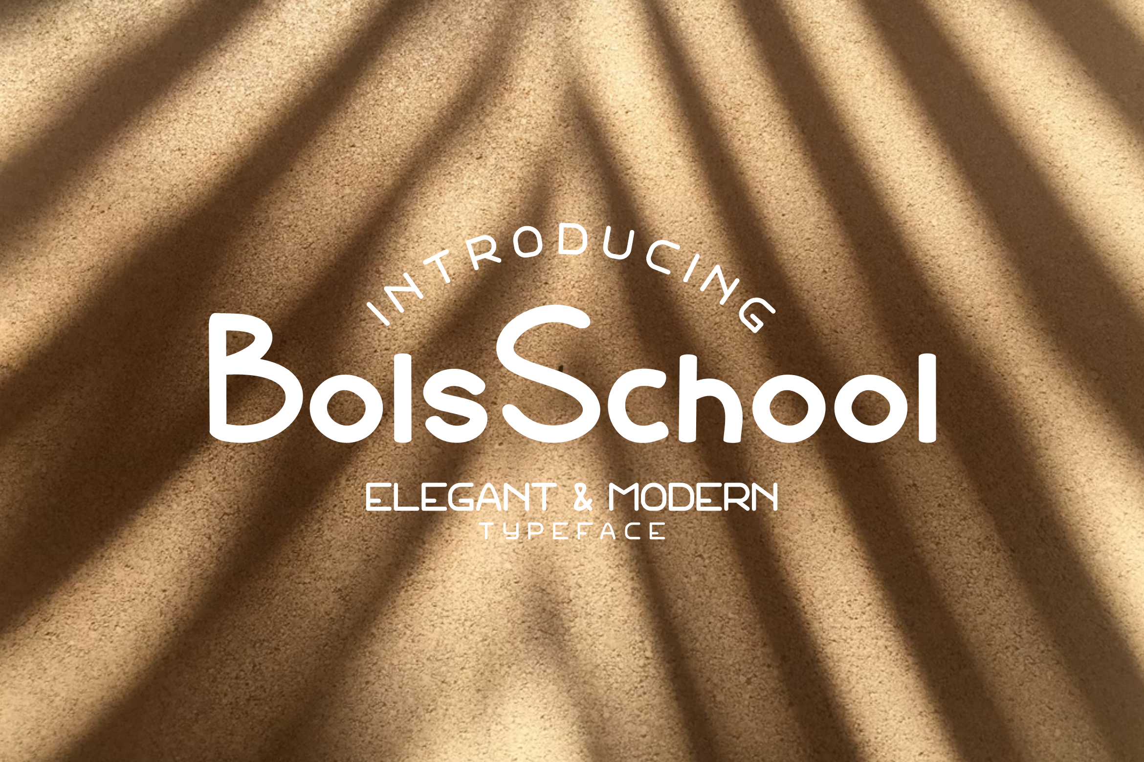 Bols School 字体