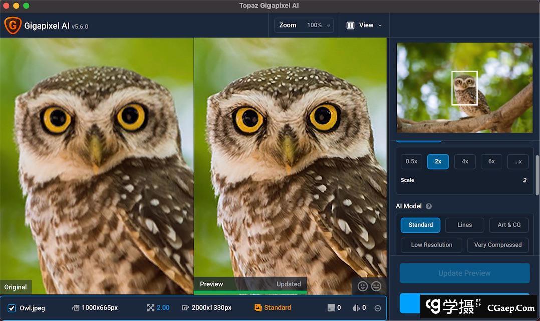 e915dca6797f4fe7a352d7e1b4784f13