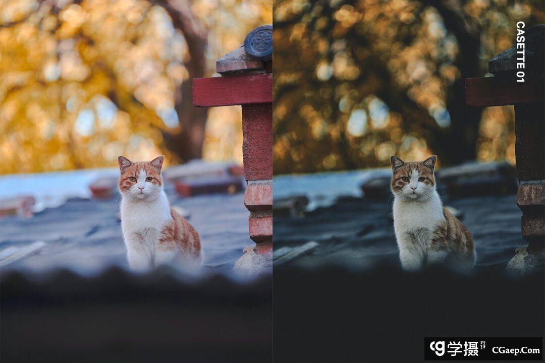 ea12c3fac64af6f5572a945a7f805f84