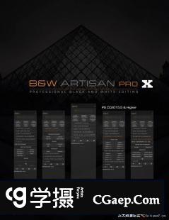 BW Artisan Pro X v1.1汉化版|Joel Tjintjelaar风光黑白明度蒙版扩展支持2022
