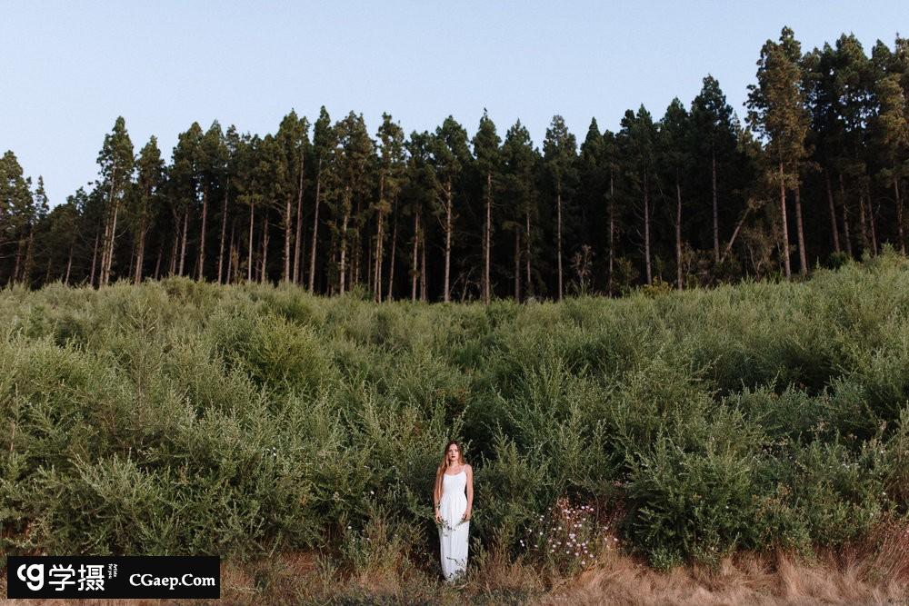 fdd8caeaf01879306d3d5df12ee3d6f0