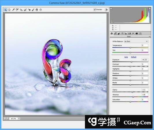 Adob​​e Photoshop 插件 Adobe Camera Raw 14.1 (x64)