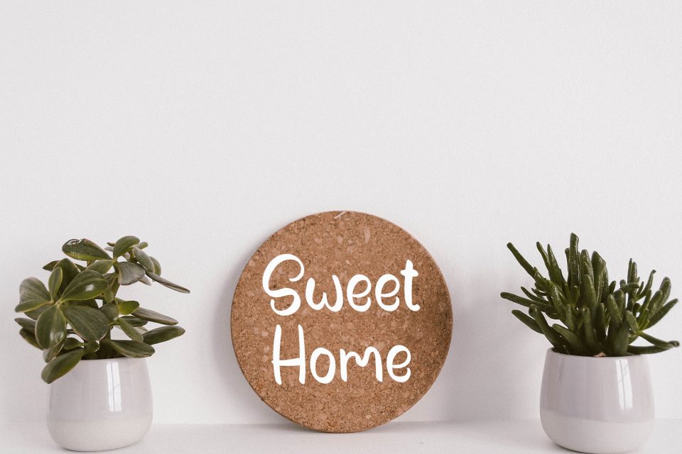 feca49db767ab3c2b7ab4145c129d474