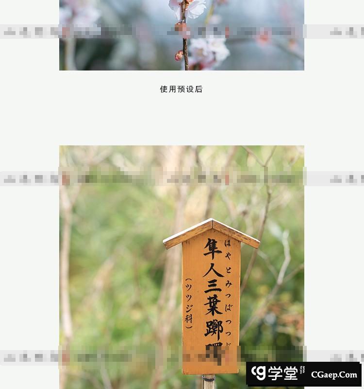 022a53cb1421bb42a29d429290cb881a