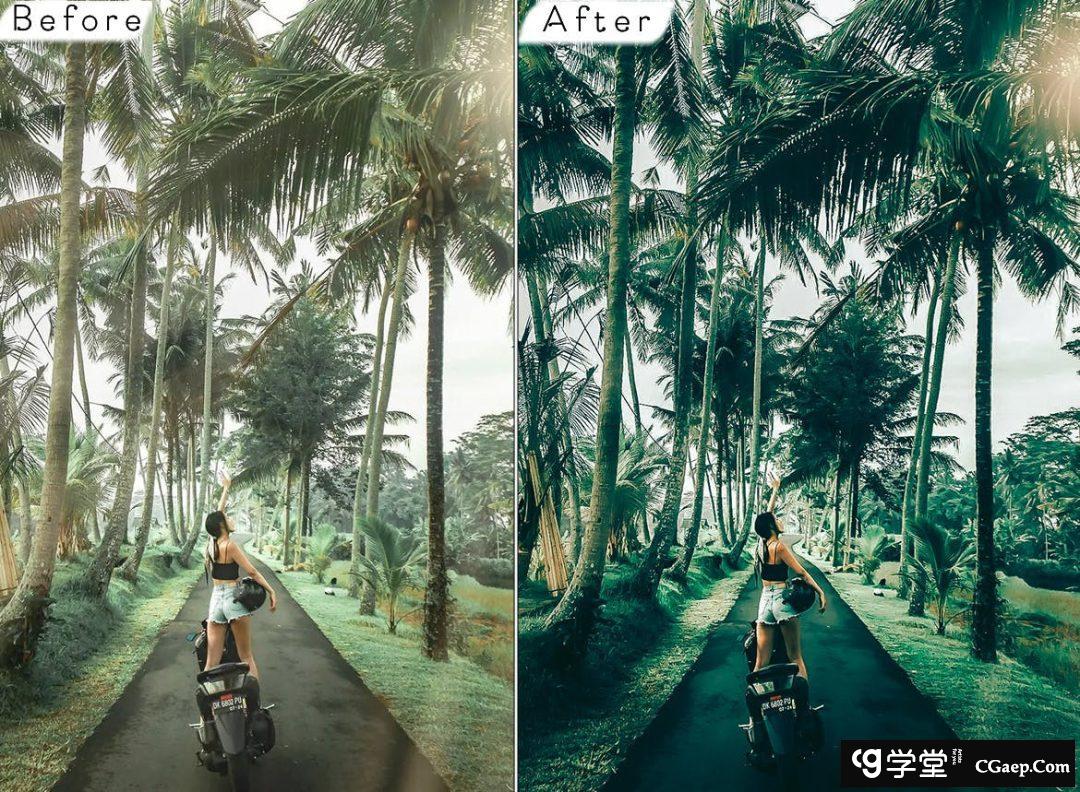 高端森系电影旅拍风光后期调色Lightroom预设 Bali Lightroom Presets