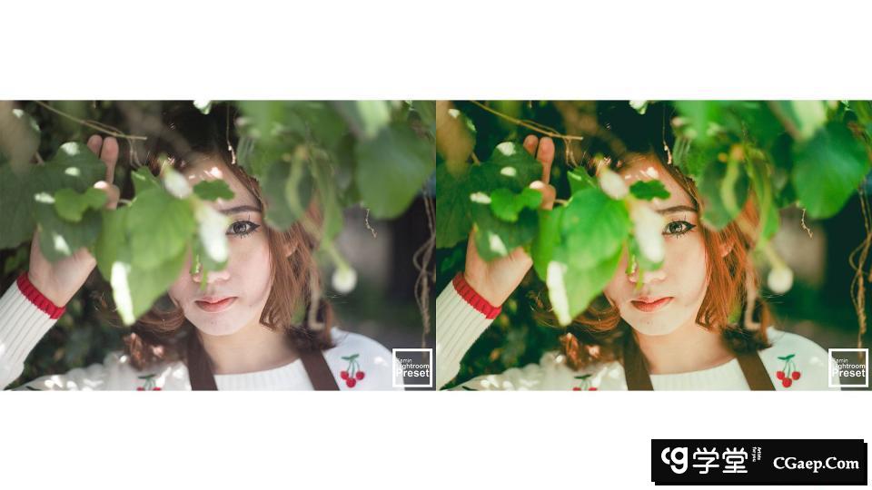 02a00422b54d9d26b629e1978940eb99