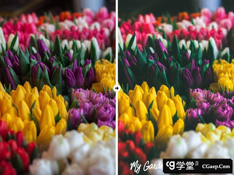 04816f96bd4ec137278018ab0f79589c