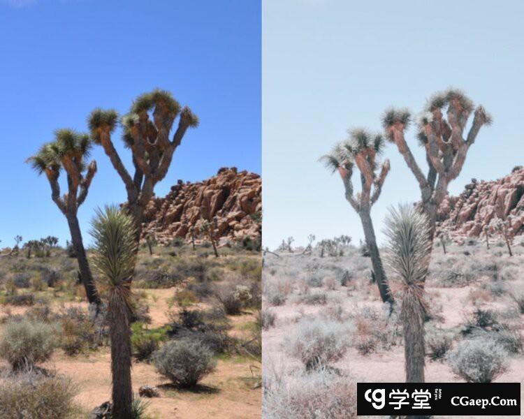 067ad0aa615b2bca65f5c8b72f90ad73