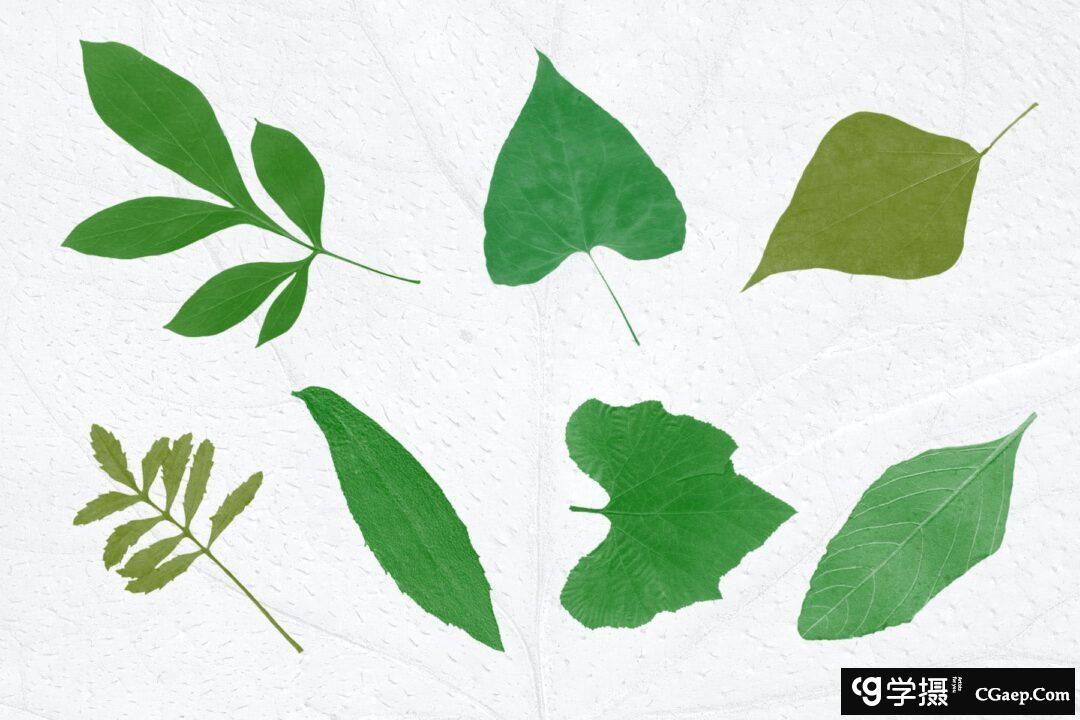 08be7ebb085ac4a3395d9a3223d851f5