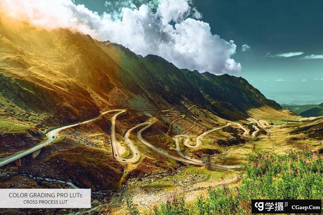 09504c17daca0f11453521282a262f1a