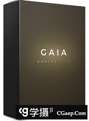 预设工厂-旅拍婚礼柔和自然视频调色LUT预设|支持AE/PR/FCPX/PS