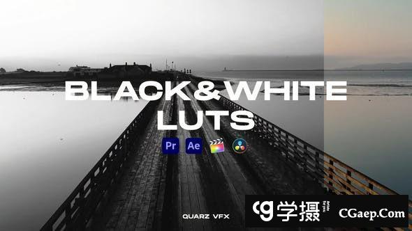 0be623eec95202cc550c2920a11e8119