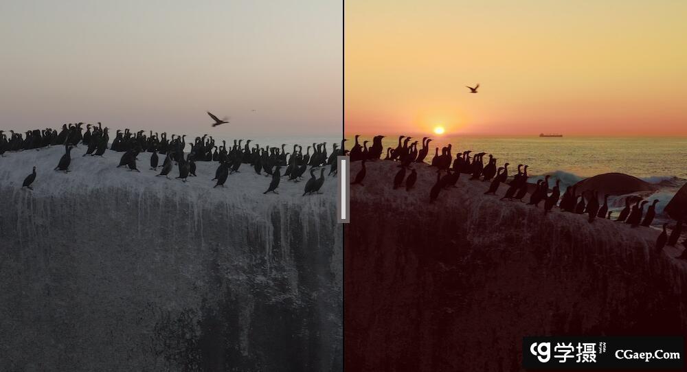 0be8e9095ccaa307e1e0ef3b4ed0fb57