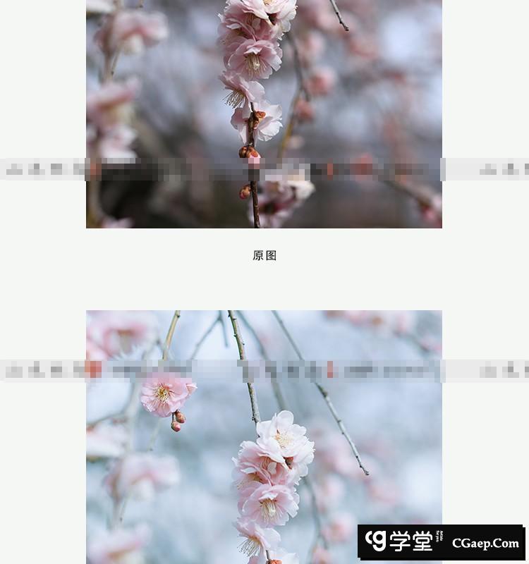 0e6e57a03248e70419382bca26e1bfb9