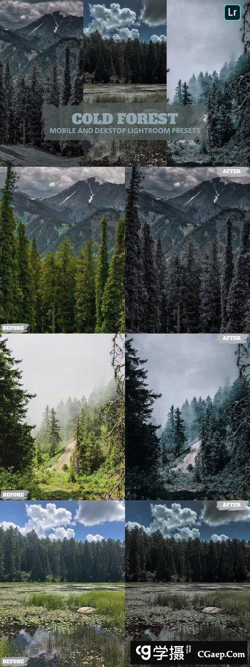 风景黑暗风格预设Cold Forests Lightroom预设DNG手机版lr预设XMP