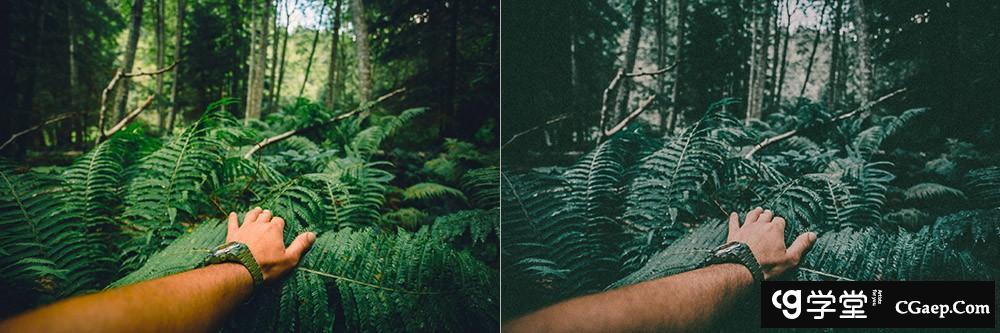 热带雨林旅拍电影胶片色调Lightroom预设 OnPresets - Tropical Forest