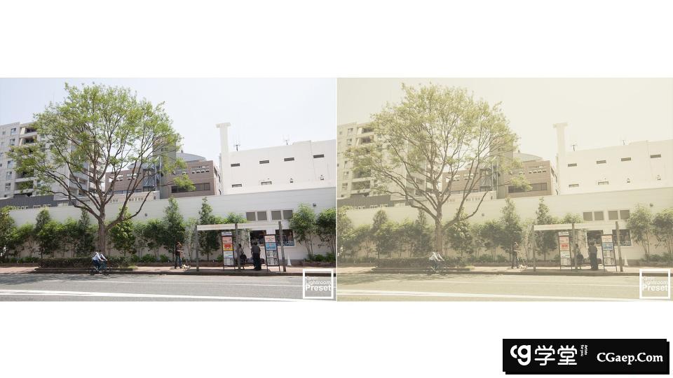 111b31c8c3e6139059b4c342b8832903