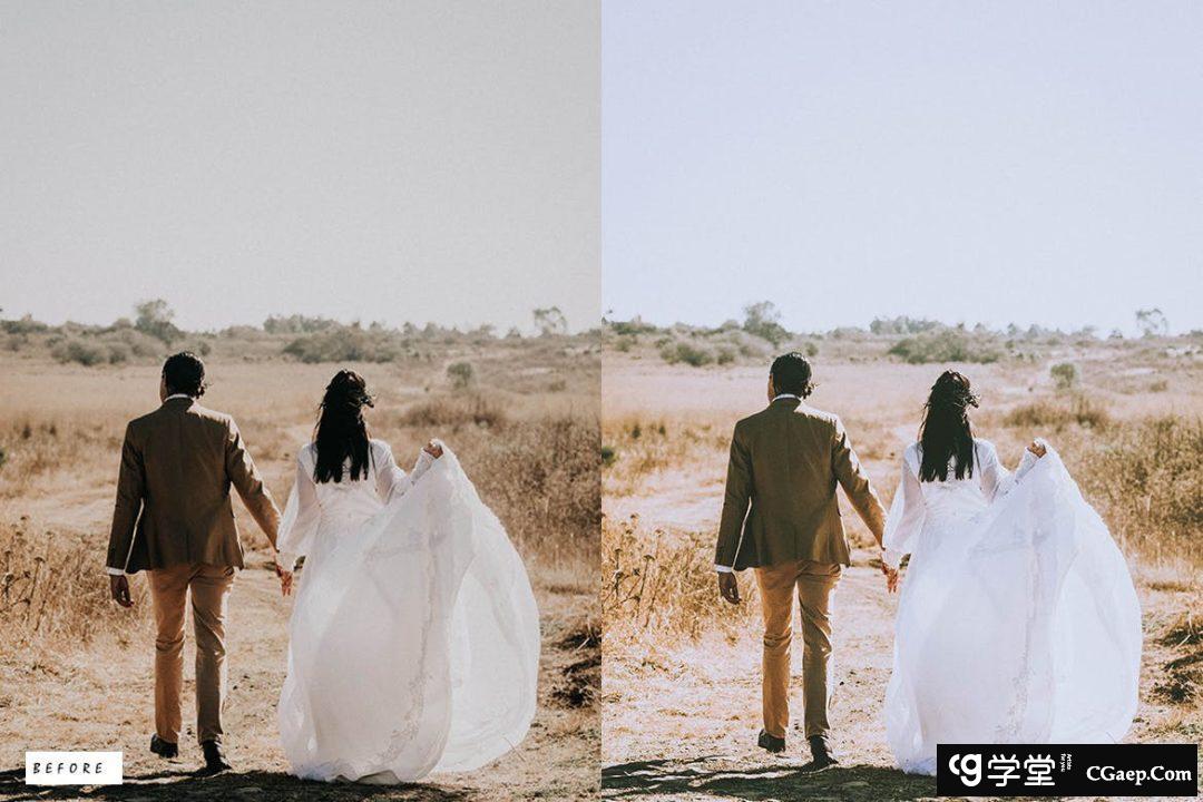 11373ed8329d773ce02aeb87313a82c6