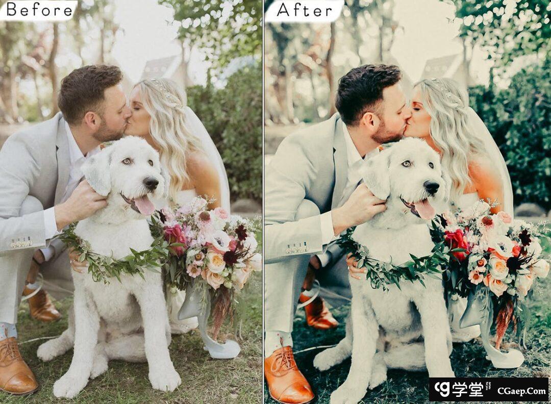 1243db8a46563e7cdf423d0a6405dc72