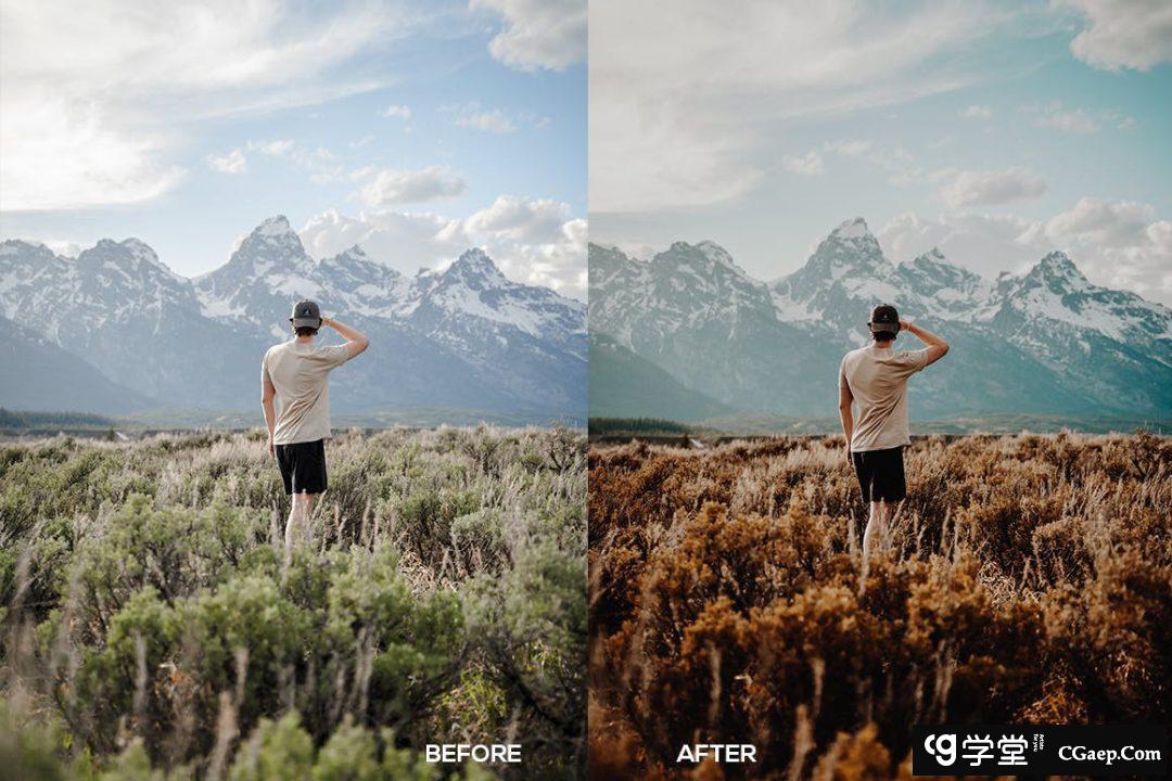 棕色旅拍电影风光人像Lightroom预设 Brown Tone Lightroom Presets