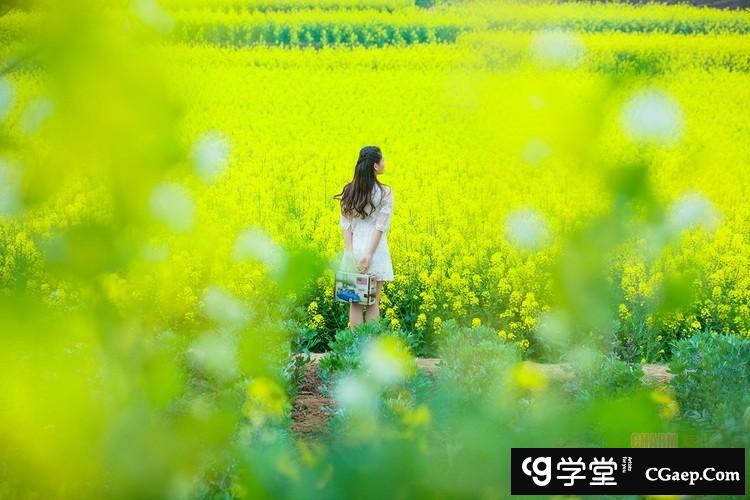 13c3988d58df7b2a818b19afa6d94911