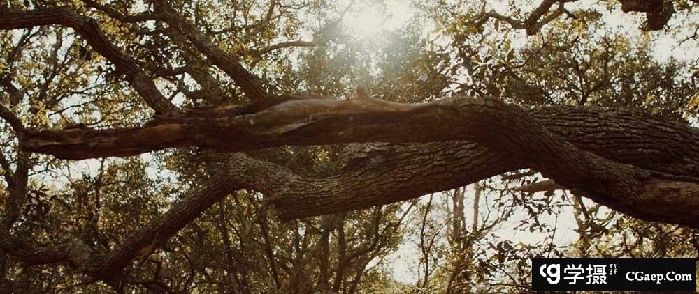 13e08e763a8ead805b7151ed48c9c0bc