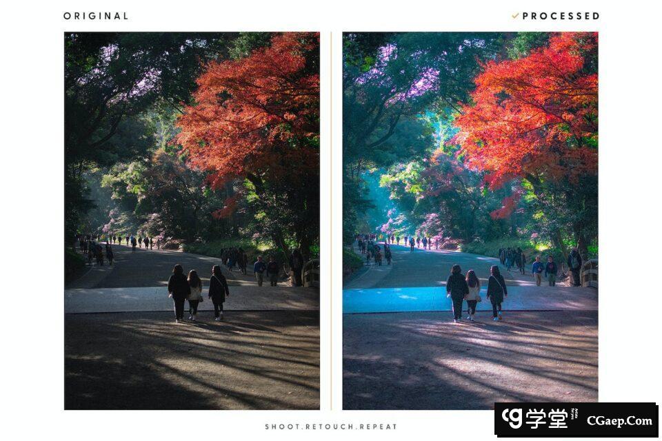 152116ce512969b9d51146fc6f9f3554