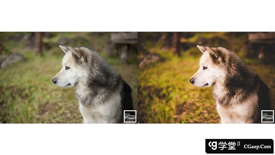 157778ee6974e96bfa1dae8efab2d494