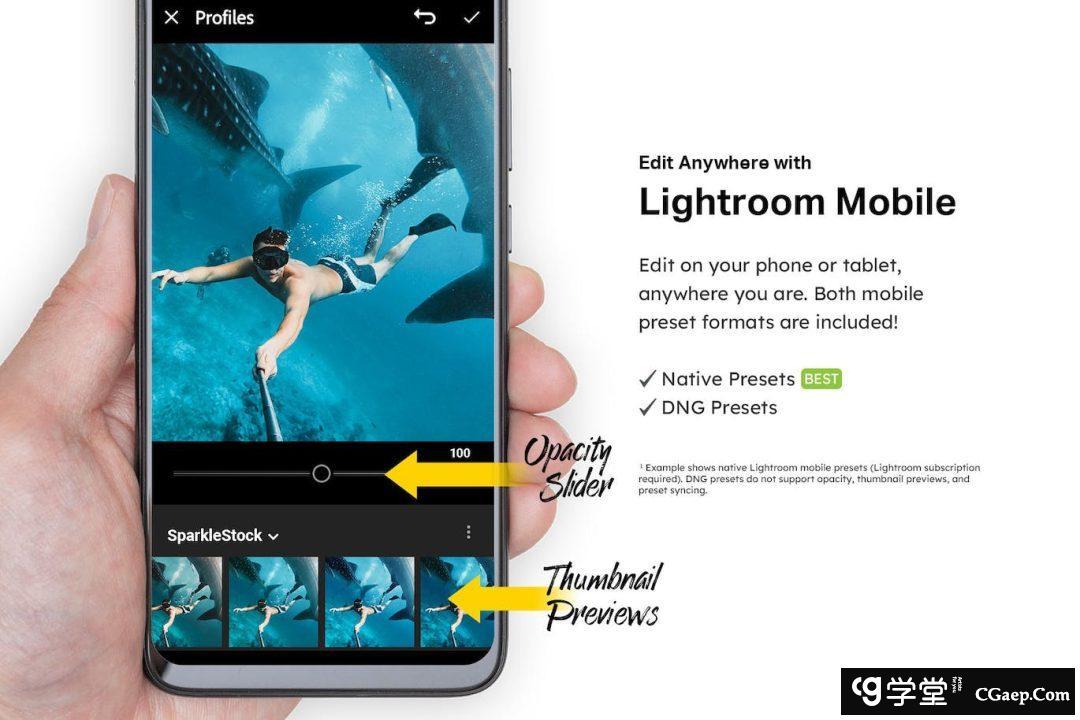 ff5be5f23f8b740dbb77352f73d9fdf7 旅行者社交媒体电影风格Lightroom预设机旅拍视频调色LUT预设