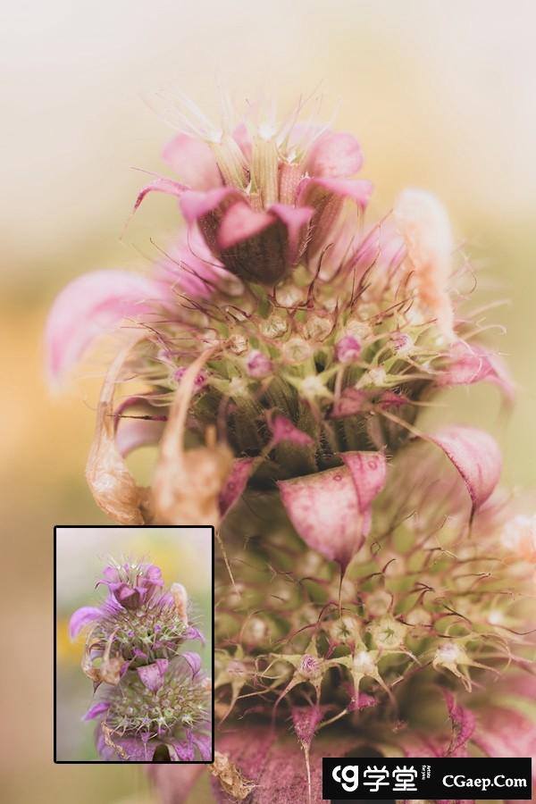 18849937e9e3bc99a6c78592125ef9f9