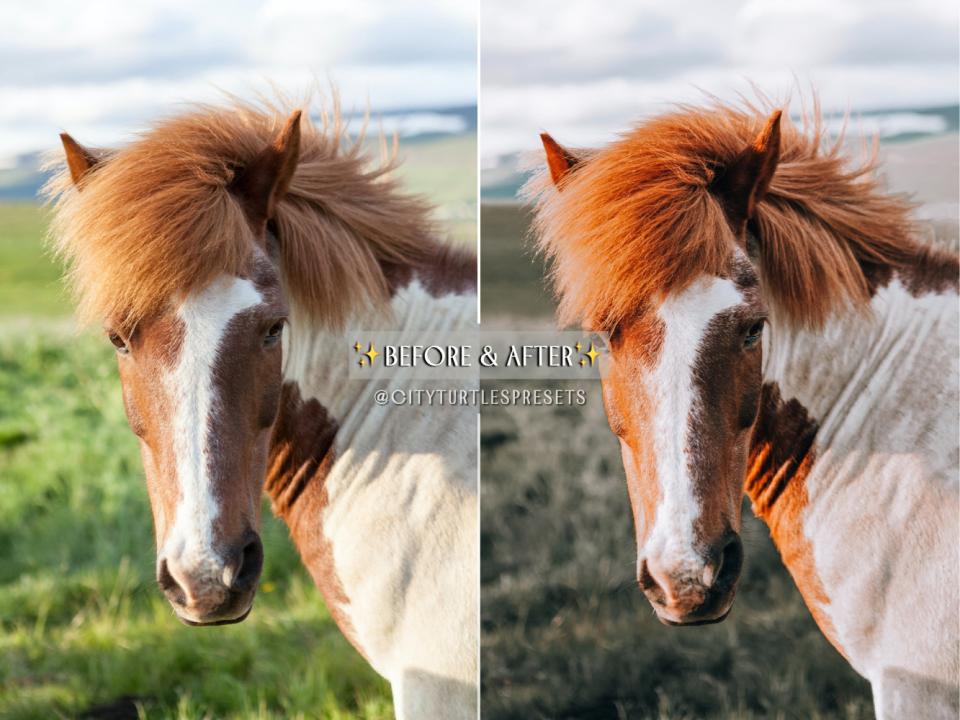 经典旅行人像预设夏季电影Lightroom 预设 梦幻日落预设