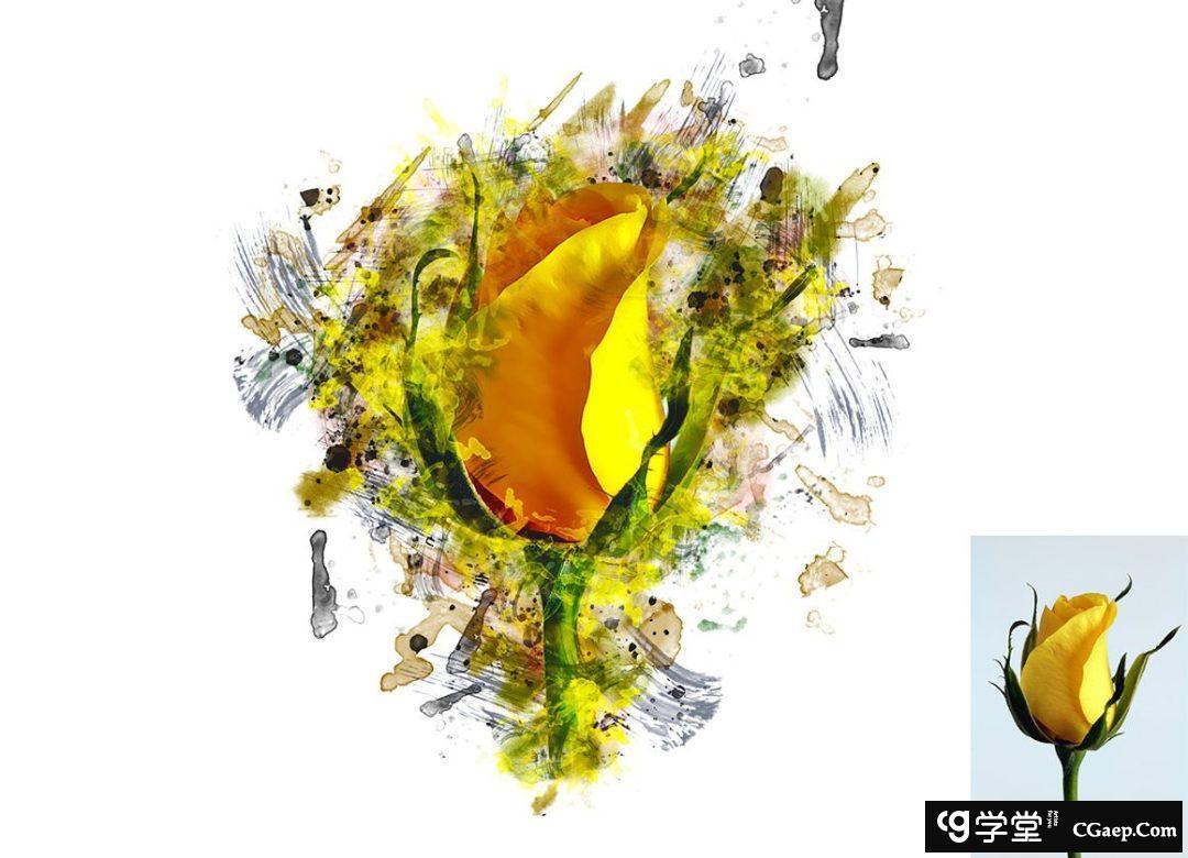 1a503157d362673cee9a17deb7f8f215