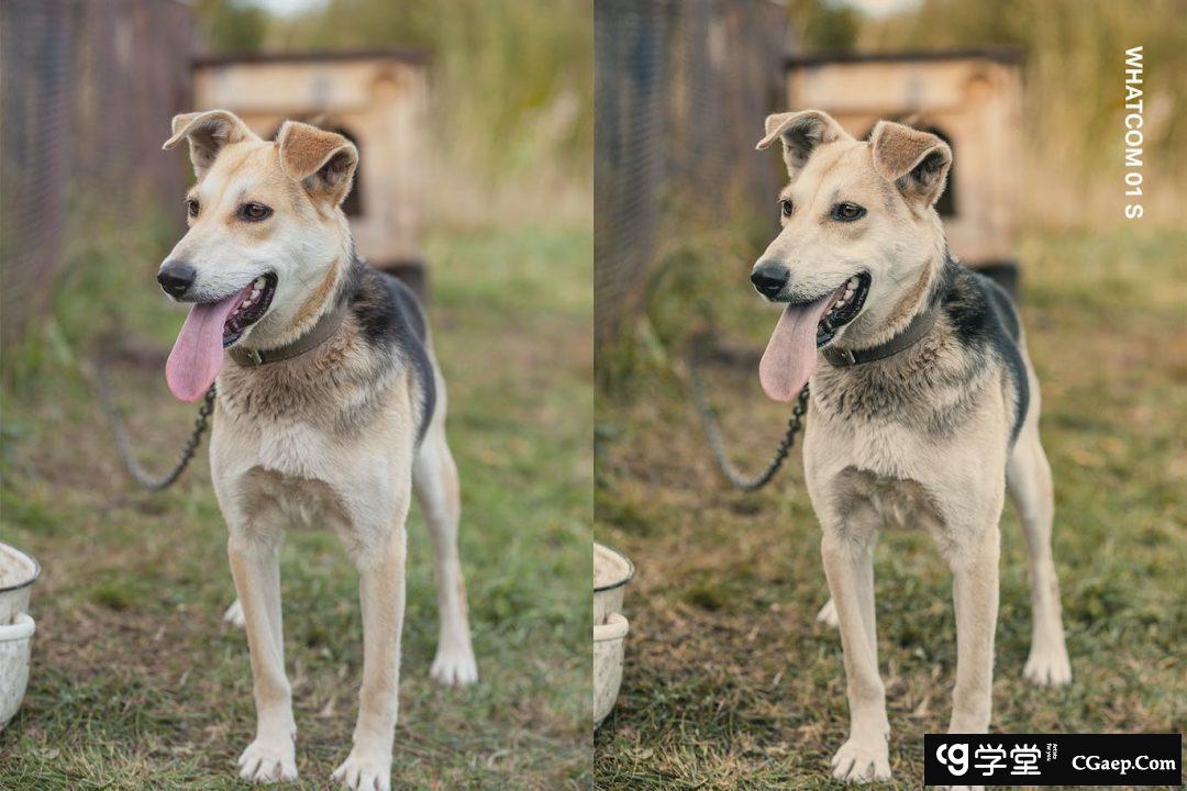 纪实摄影后期调色Lightroom预设及纪录片MV视频调色LUT预设