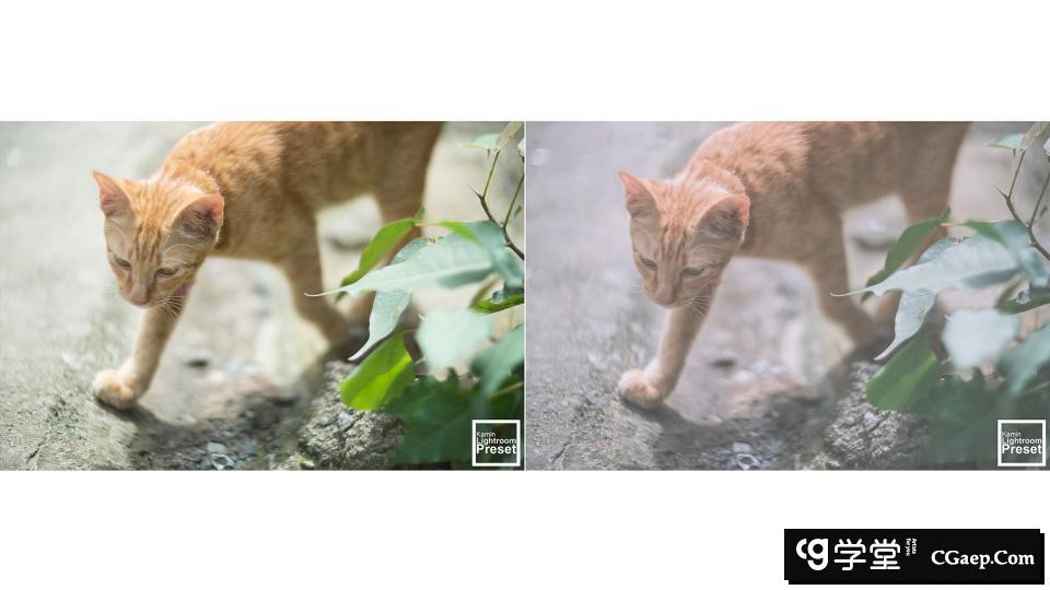 1cb1ebb3cfd8a2dd8fcf602ae422c60a