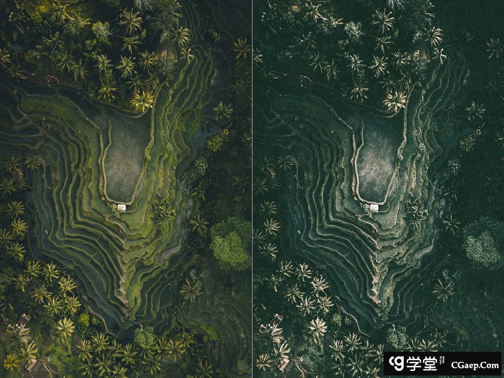 热带雨林旅拍电影胶片色调Lightroom预设 OnPresets - Tropical Forest
