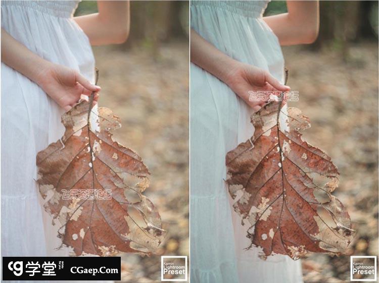 1f585431399c6ba621ccc231aec58fa6