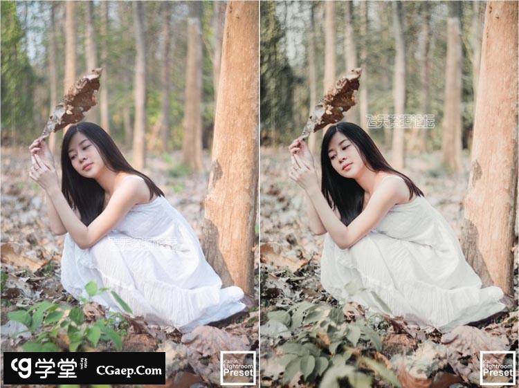 209c6486402a05b0b93258c4dbb4a52a