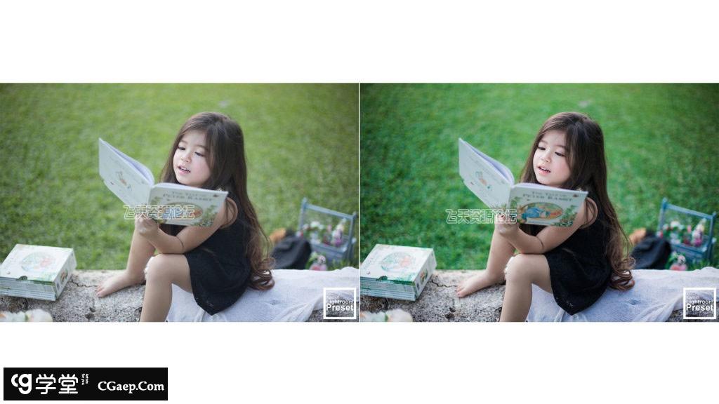 21801de4dae33c89283ef877e27a0053