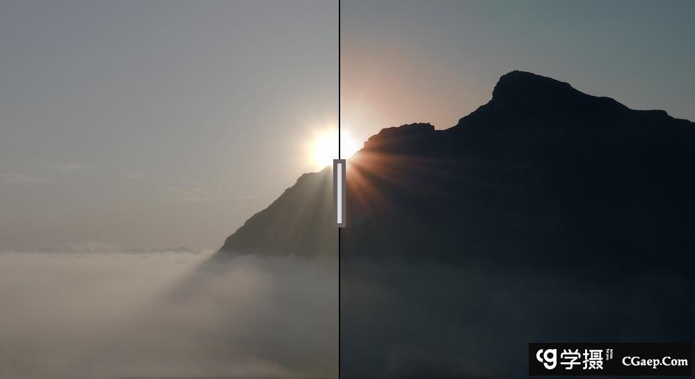 21fb713784737fa70086748855078890