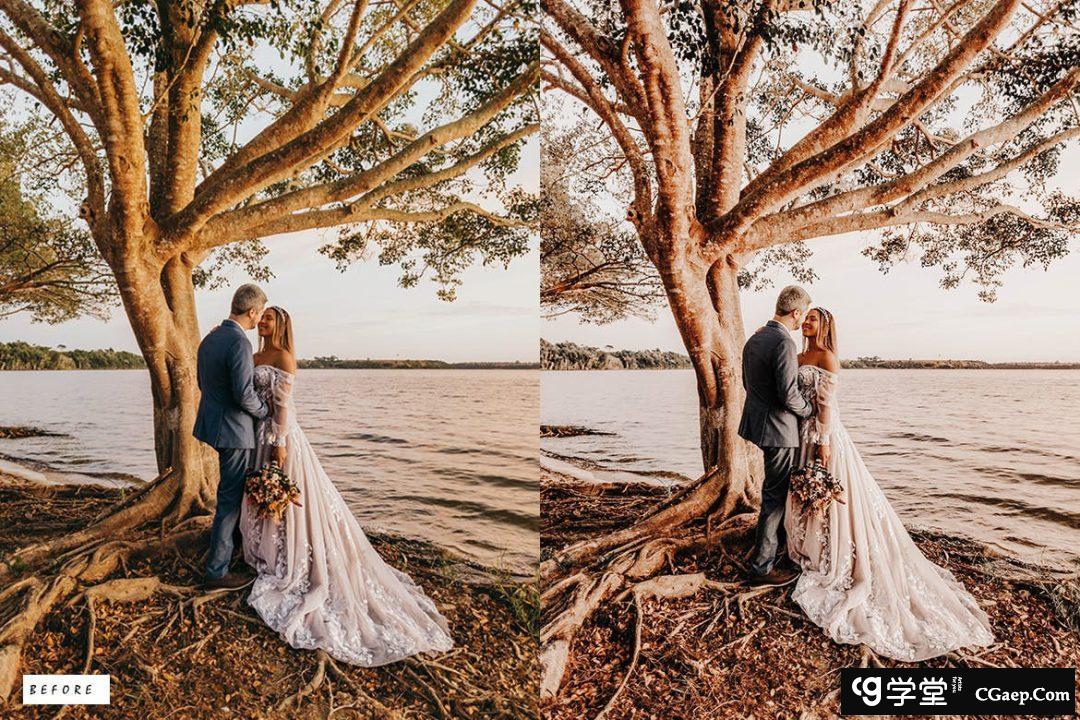 232022ee65d33f1b77354c69e257a972